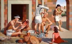 数学竟可预测历史趋势?科学家称准确率达65%